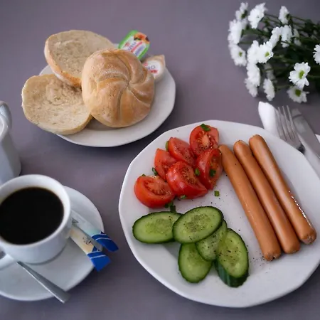Kamionki Bed and Breakfast Σοσνόβιετς