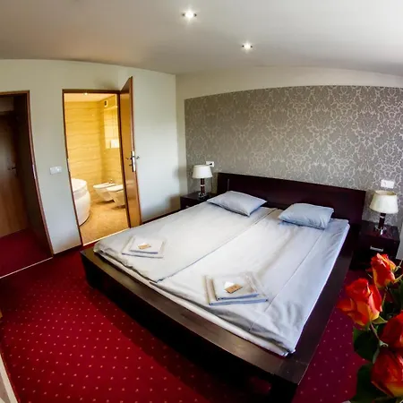 Bed and Breakfast Kamionki Σοσνόβιετς