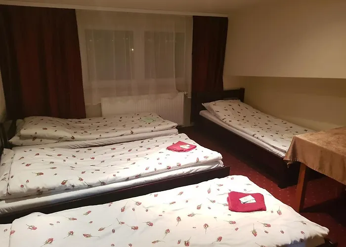 Kamionki Сосновец